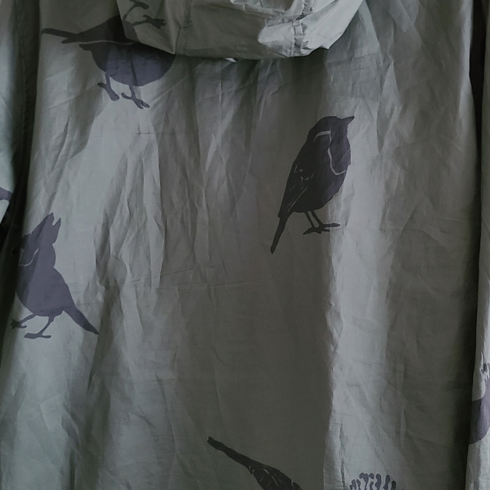 LRG - Picture 8 of 11